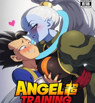 ANGEL Training